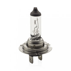 Bec Halogen H7 55W, +30% intensitate - CARGUARD Carguard - imagine 3