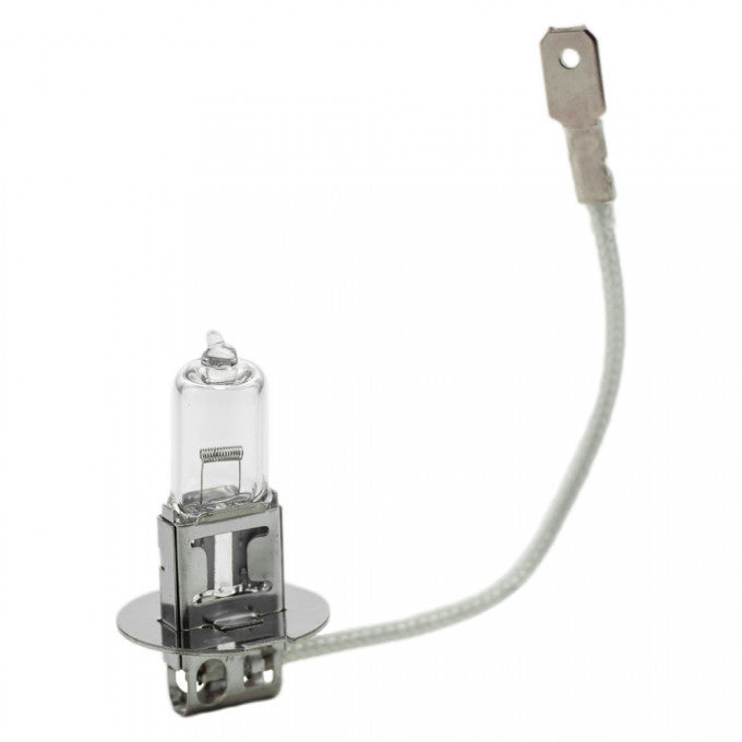 Bec halogen H3 12V 55W +30% intensitate Carguard - imagine 2