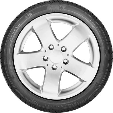 Anvelopa Vara Viking 205/50 R16 87W ProTech HP [DOT 2023] Viking - imagine 3
