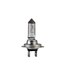 Bec Hella H7 24V 70W PX26d Hella - imagine 1