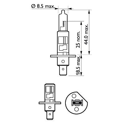 BEC FAR H1 55W 12V LONGER LIFE ECOVISION PHILIPS