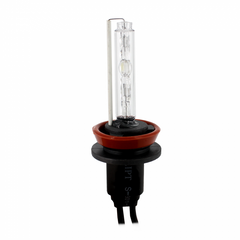 Bec Xenon H11-6K - CARGUARD Carguard - imagine 1
